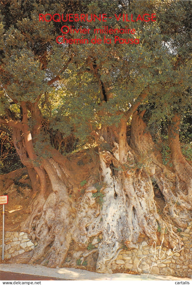 06-ROQUEBRUNE-N° 4406-C/0363 - Roquebrune-Cap-Martin