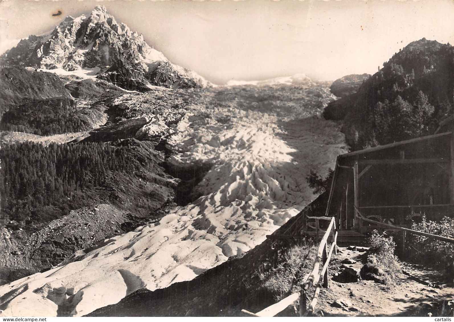 74-CHAMONIX MONT BLANC-N° 4406-C/0281 - Chamonix-Mont-Blanc