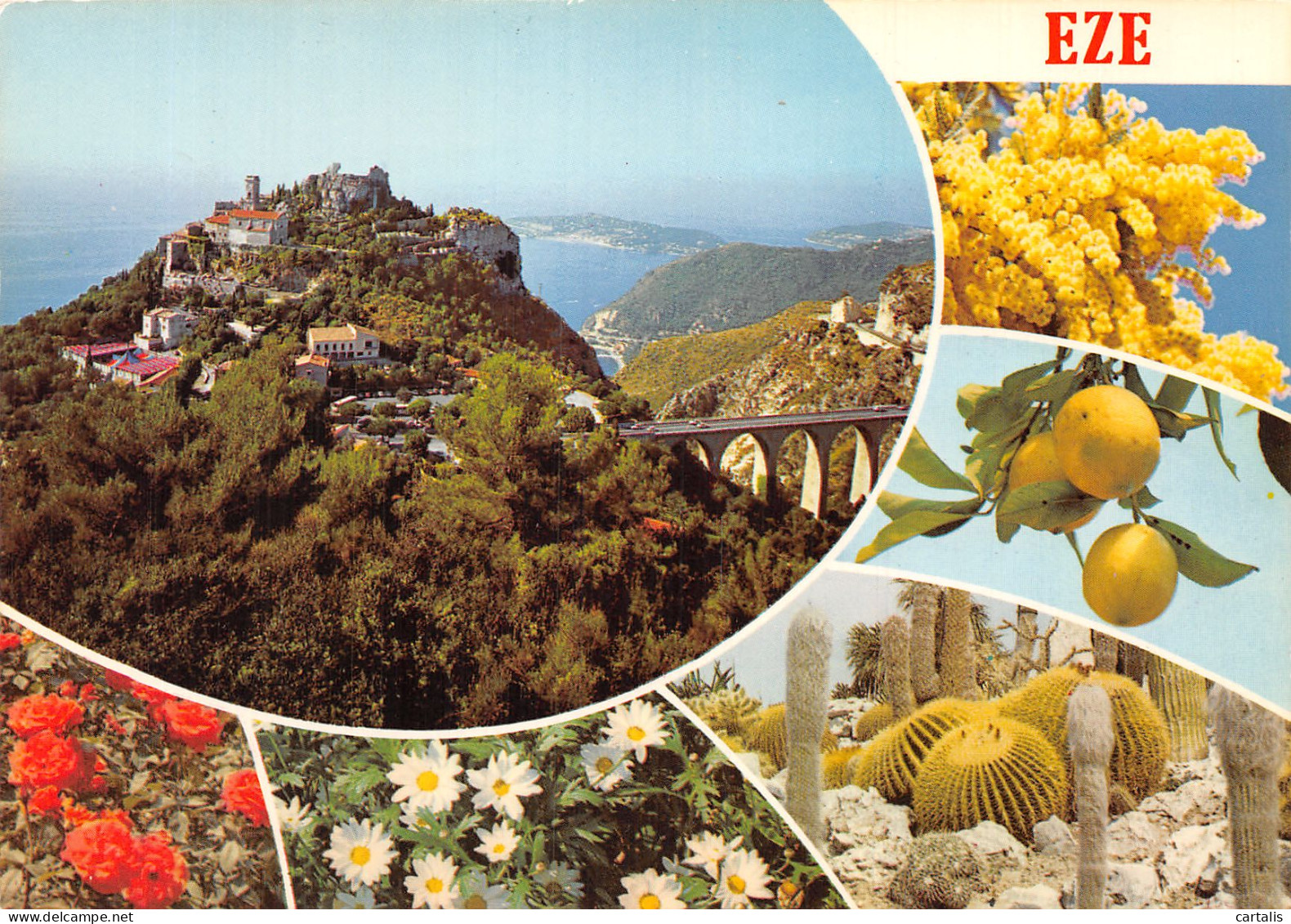 06-EZE-N° 4406-C/0121 - Eze