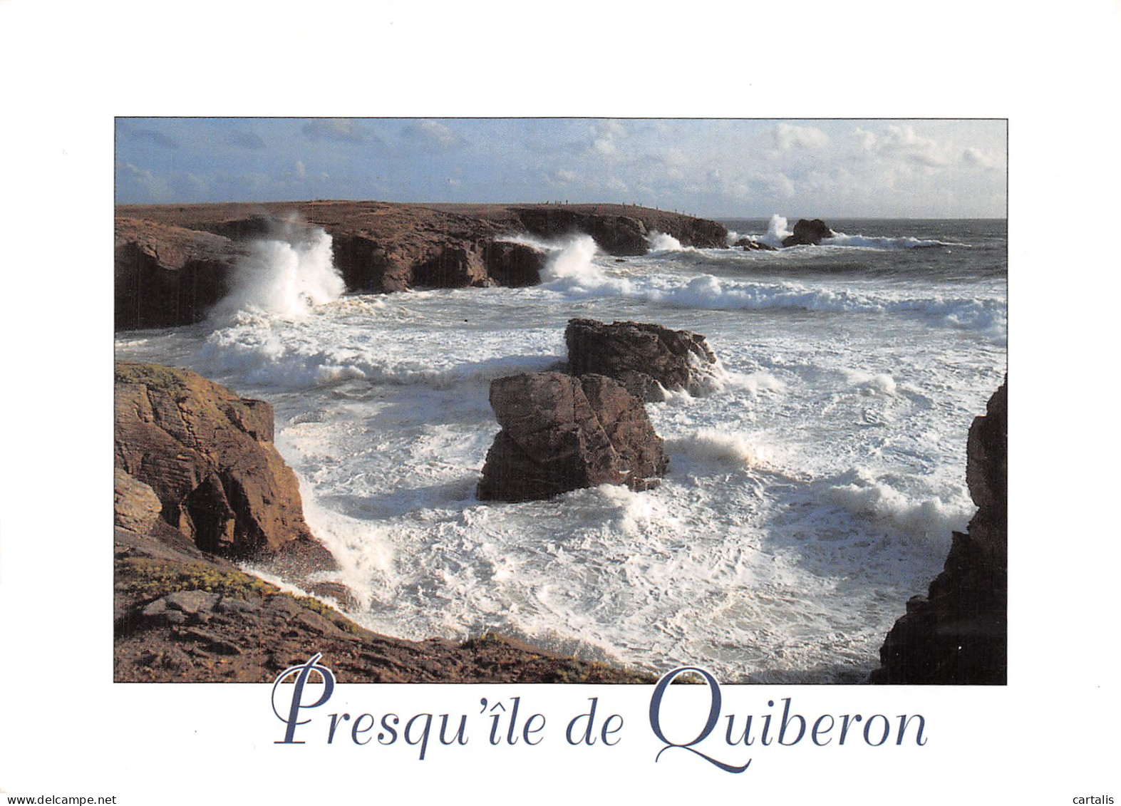 56-QUIBERON-N° 4406-B/0243 - Quiberon