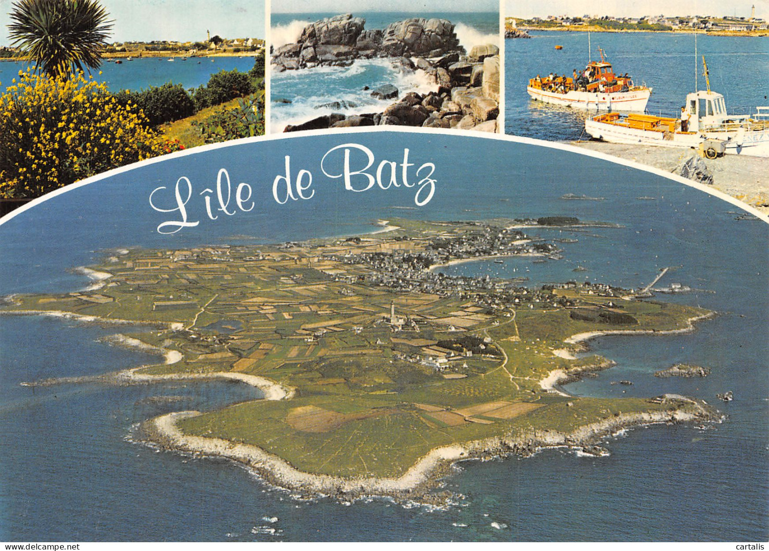 29-ILE DE BATZ-N° 4406-B/0237 - Ile-de-Batz