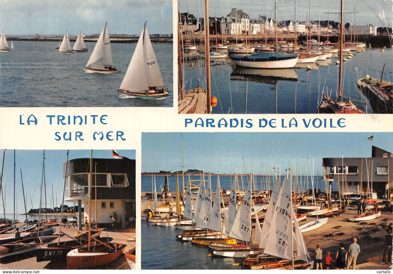 56-LA TRINITE SUR MER-N° 4406-A/0241 - La Trinite Sur Mer