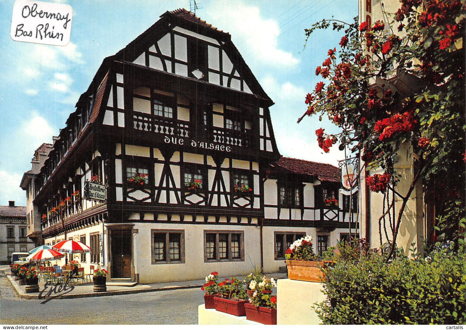 67-OBERNAI-N° 4406-D/0393 - Obernai