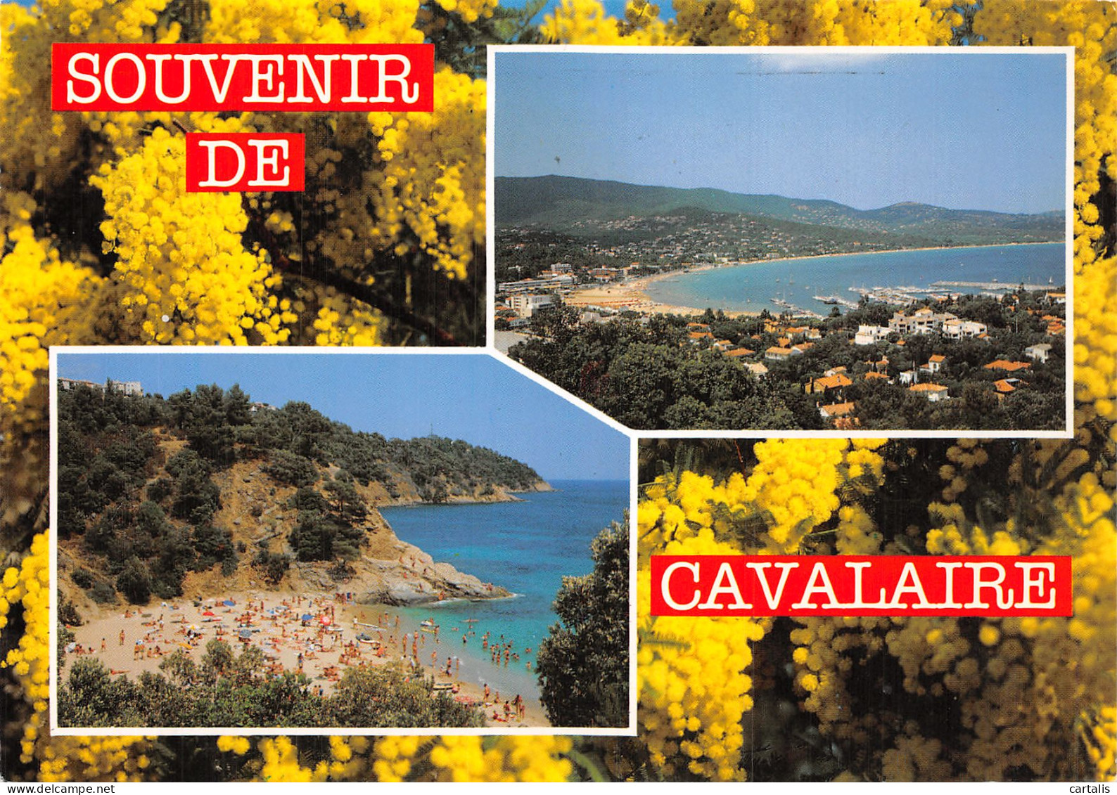 83-CAVALAIRE SUR MER-N° 4406-D/0315 - Cavalaire-sur-Mer