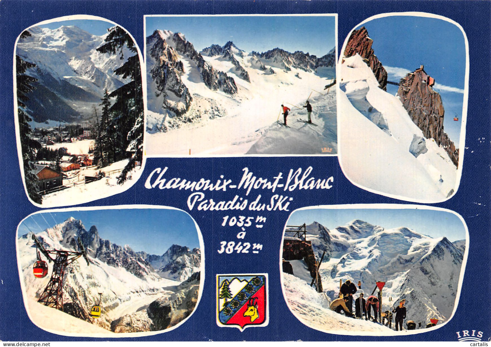 74-CHAMONIX MONT BLANC-N° 4406-D/0243 - Chamonix-Mont-Blanc