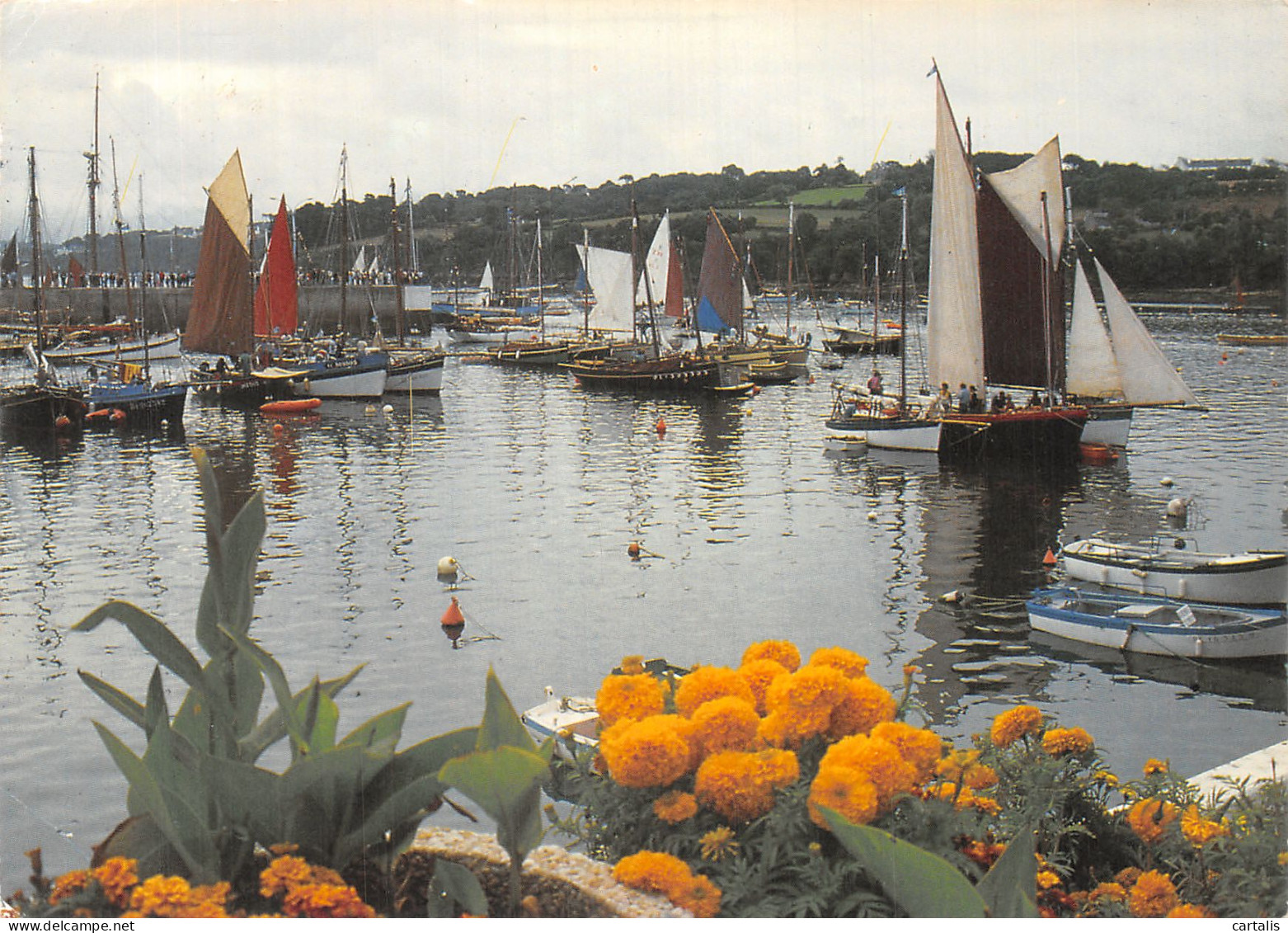 29-DOUARNENEZ-N° 4407-C/0189 - Douarnenez