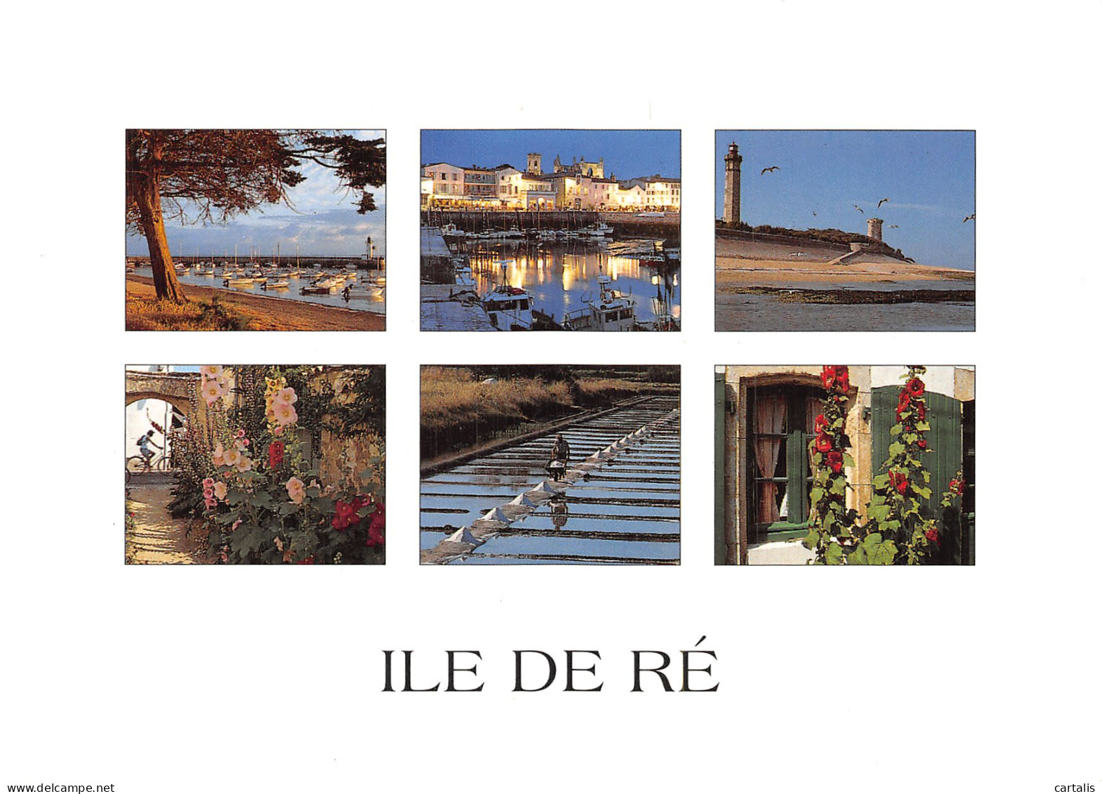 17-ILE DE RE-N° 4407-B/0239 - Ile De Ré