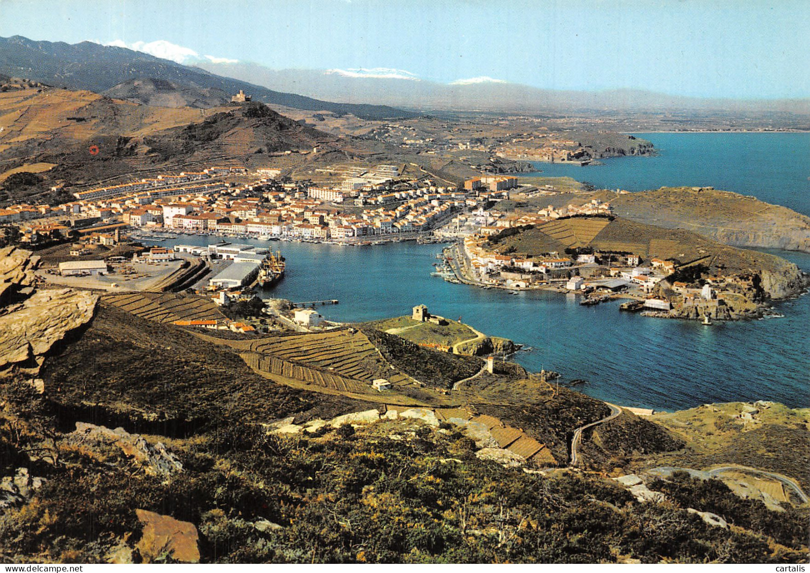 66-PORT VENDRES-N° 4407-A/0383 - Port Vendres