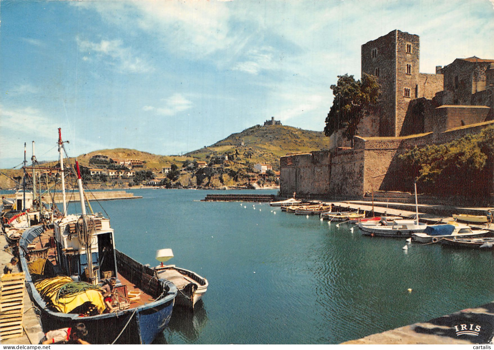 66-COLLIOURE-N° 4408-A/0041 - Collioure