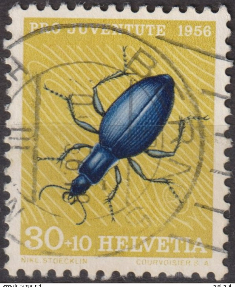 1956 Schweiz Pro Juventute ° Zum:CH J166,Yt:CH 584, Mi:CH 635, Blauer Laufkäfer, Insekten - Used Stamps