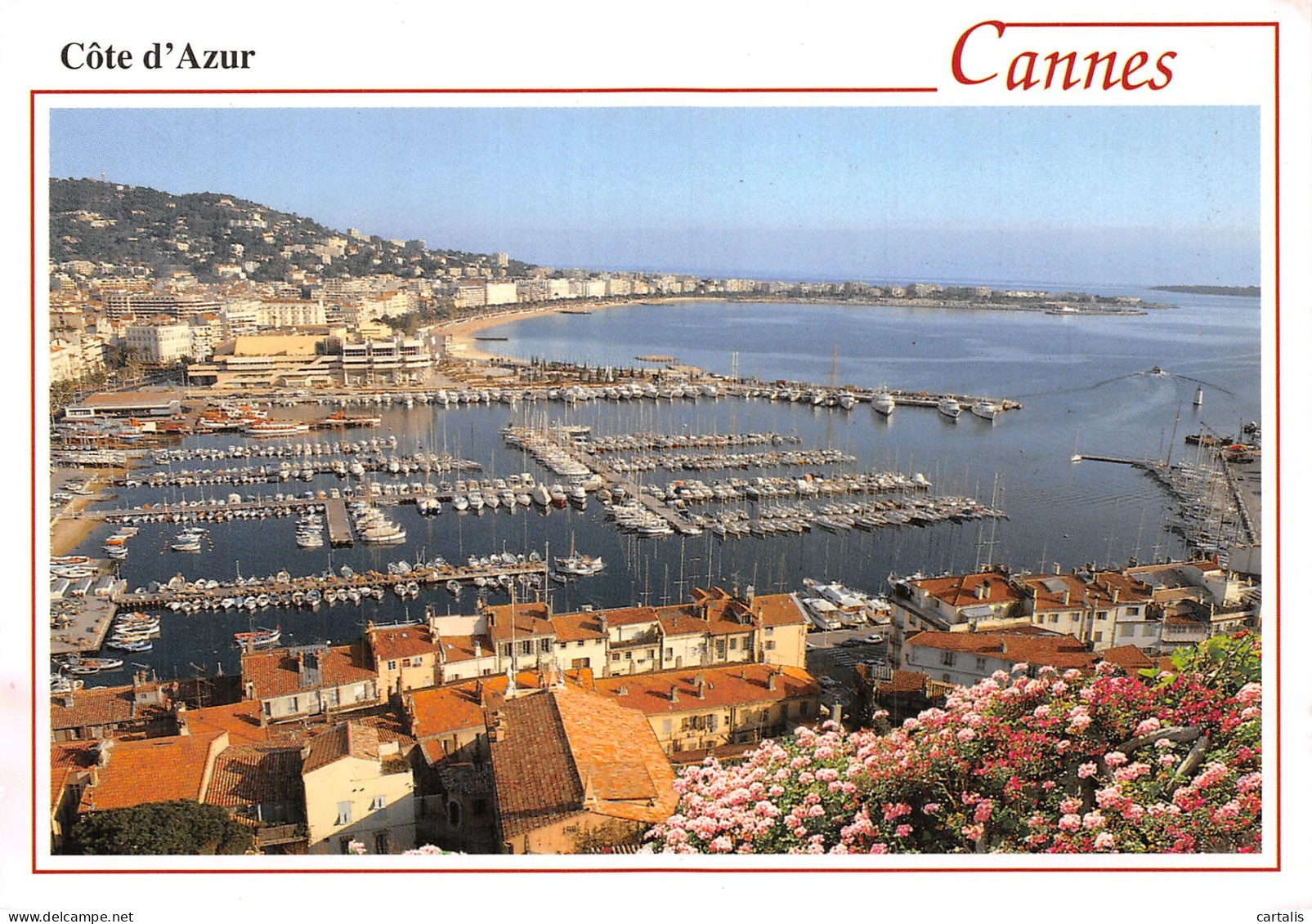 06-CANNES-N° 4408-C/0277 - Cannes