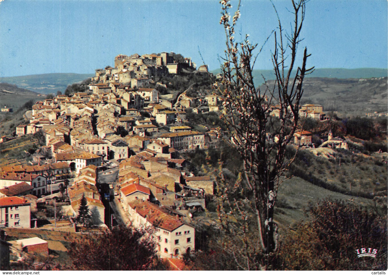 81-CORDES EN ALBIGEOIS-N° 4408-B/0049 - Cordes