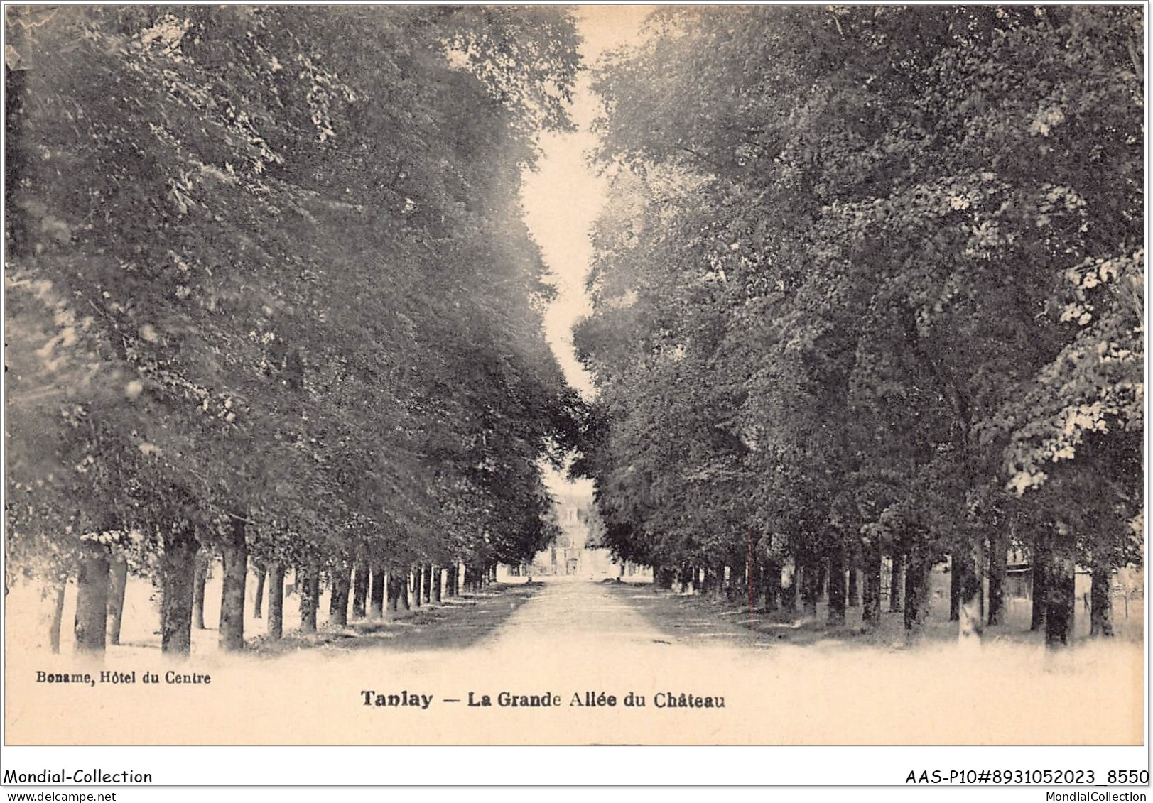 AASP10-0910 - TANLAY - La Grande Allée Du Chateau - Tanlay