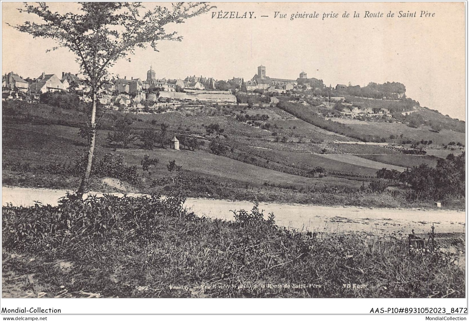 AASP10-0871 - VEZELAY - Vue Generale - Prise De La Route De Saint Pere - Vezelay