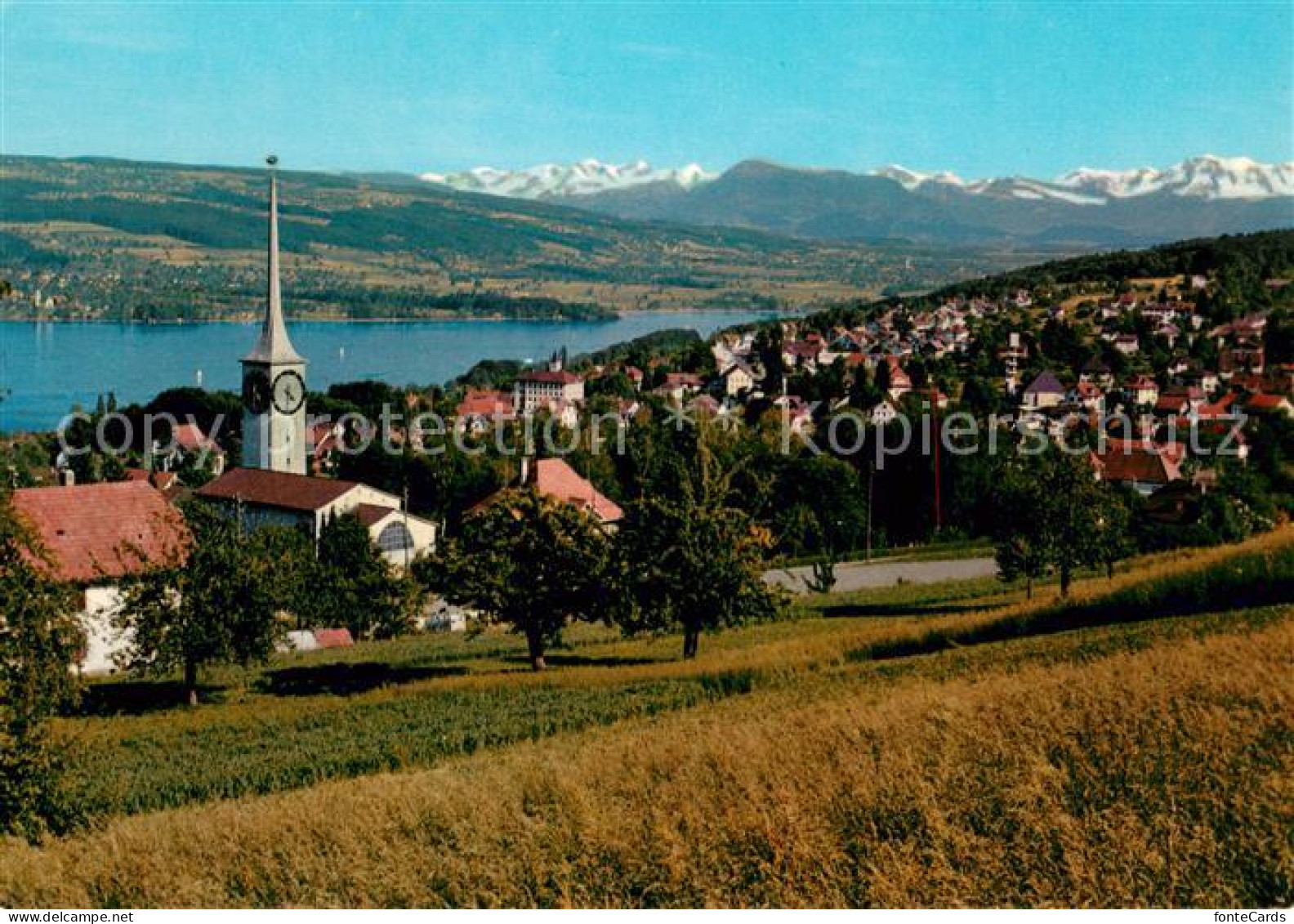 13627550 Beinwil See Panorama Beinwil See - Autres & Non Classés