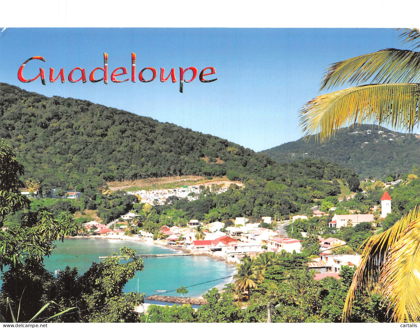 971-GUADELOUPE-N° 4408-D/0323 - Andere & Zonder Classificatie