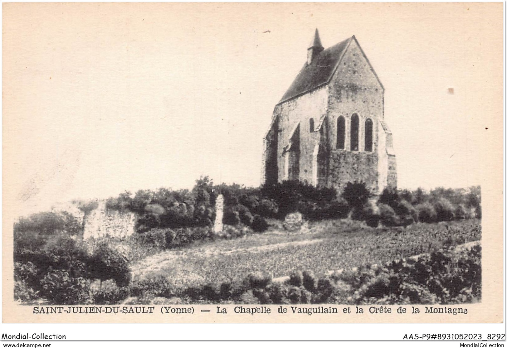 AASP9-0780 - SAINT-JULIEN-DU-SAULT - La Chapelle Du Vauguilain Et La Crete De La Montagne - Saint Julien Du Sault
