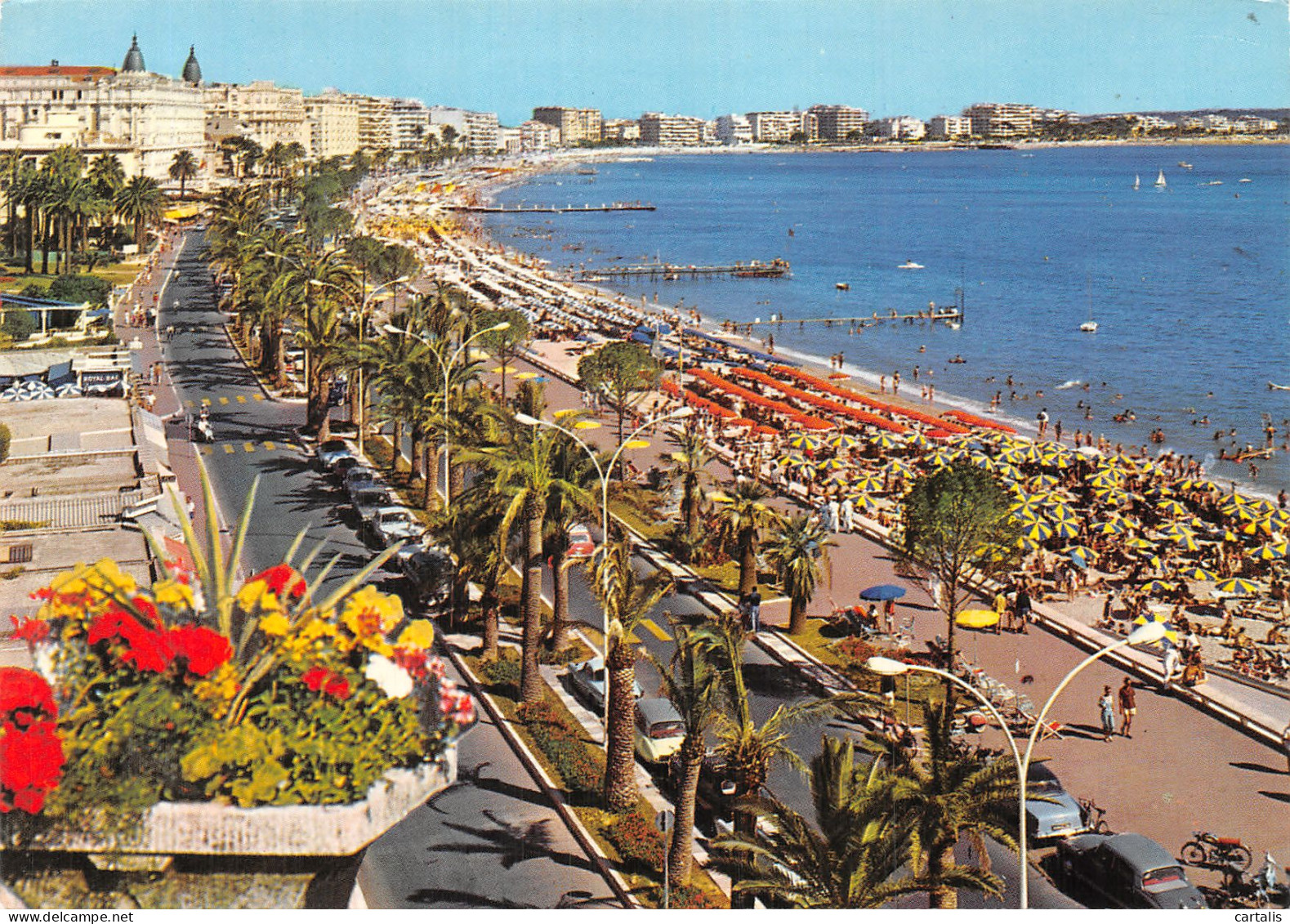 06-CANNES-N° 4409-D/0229 - Cannes