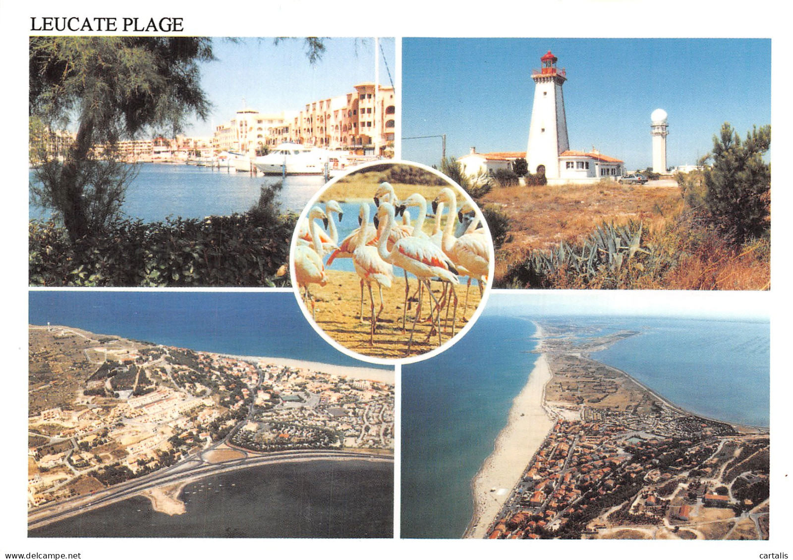 11-LEUCATE PLAGE-N° 4410-B/0049 - Leucate