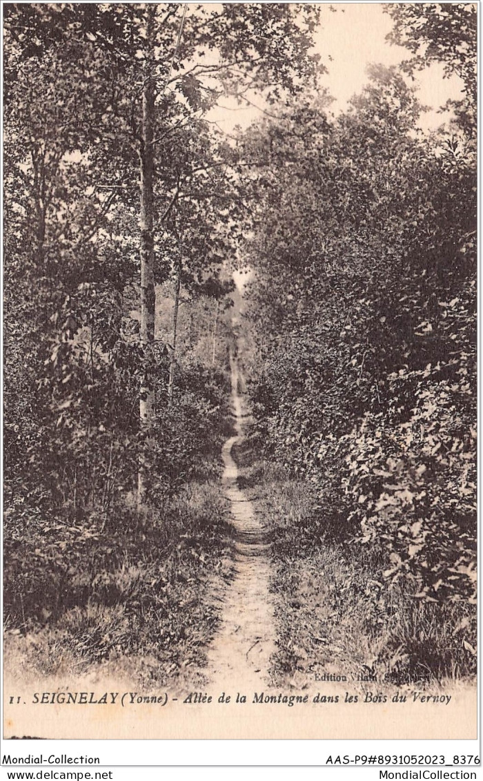 AASP9-0823 - SEIGNELAY - Allée De La Montagne Dans Les Bois Du Vernoy - Seignelay