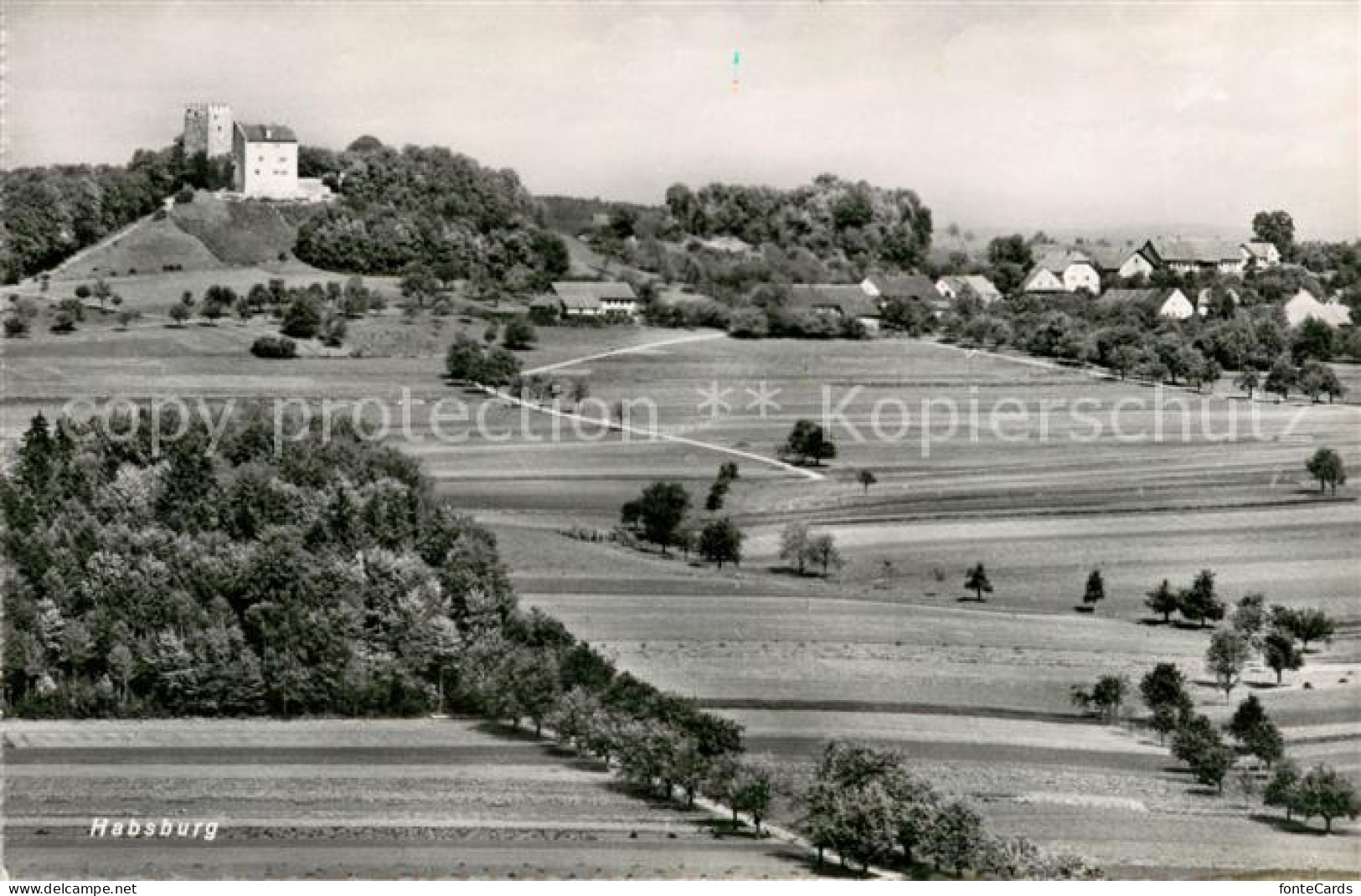 13626551 Habsburg Panorama Habsburg - Autres & Non Classés