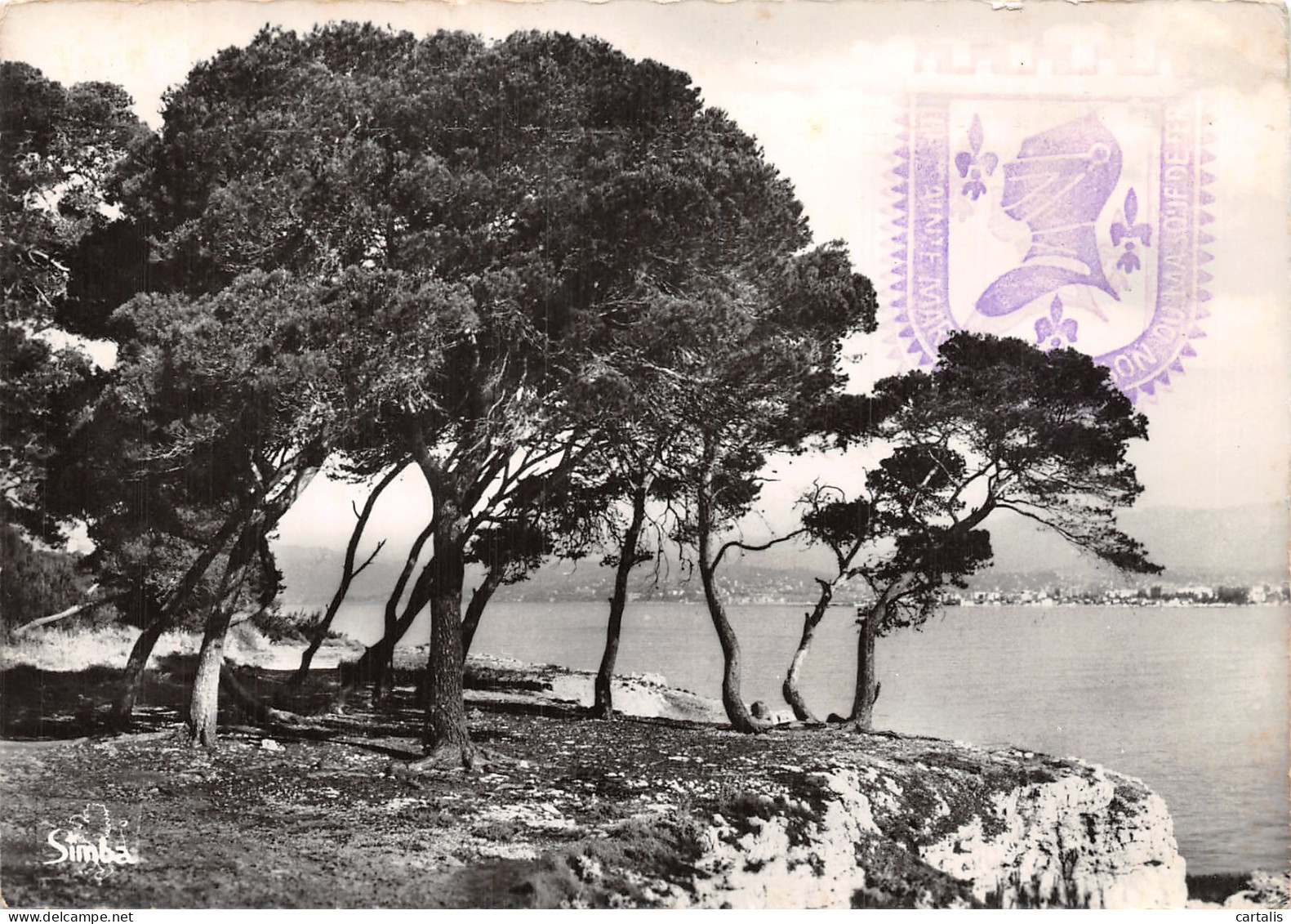 06-CANNES-N° 4409-D/0259 - Cannes