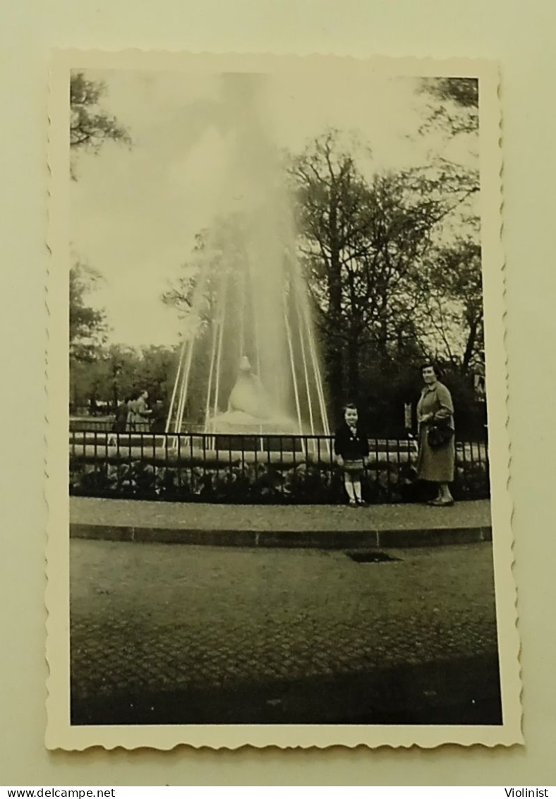 Germany-In The ZOO-1956.-Pogade Photo-Bin.-NEUKÖLLN - Lieux