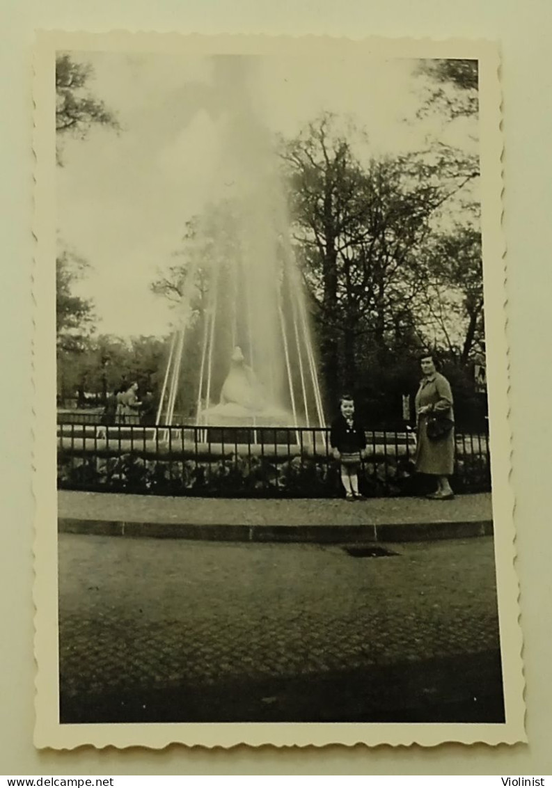 Germany-In The ZOO-1956.-Pogade Photo-Bin.-NEUKÖLLN - Plaatsen