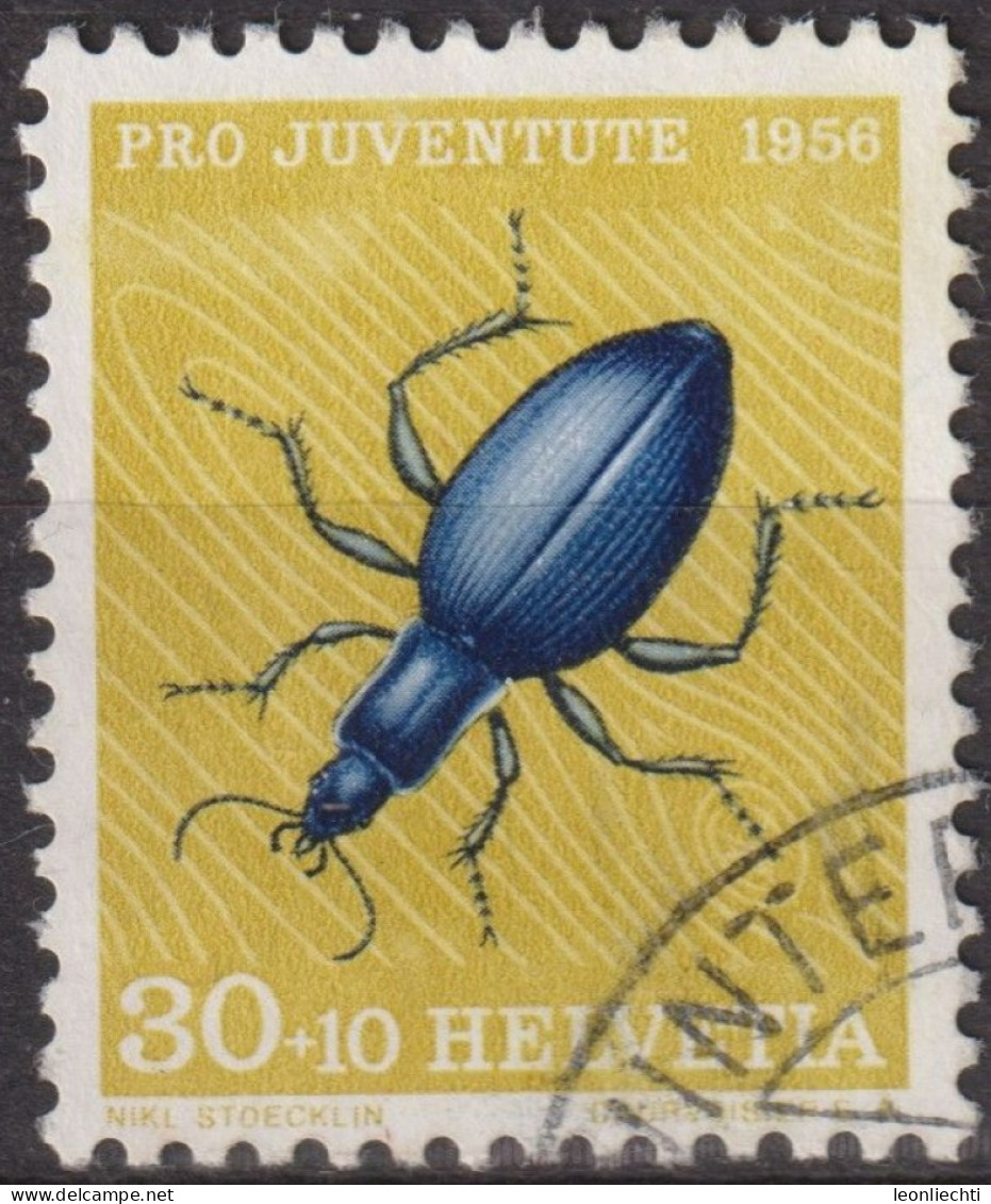 1956 Schweiz Pro Juventute ° Zum:CH J166,Yt:CH 584, Mi:CH 635, Blauer Laufkäfer, Insekten - Oblitérés