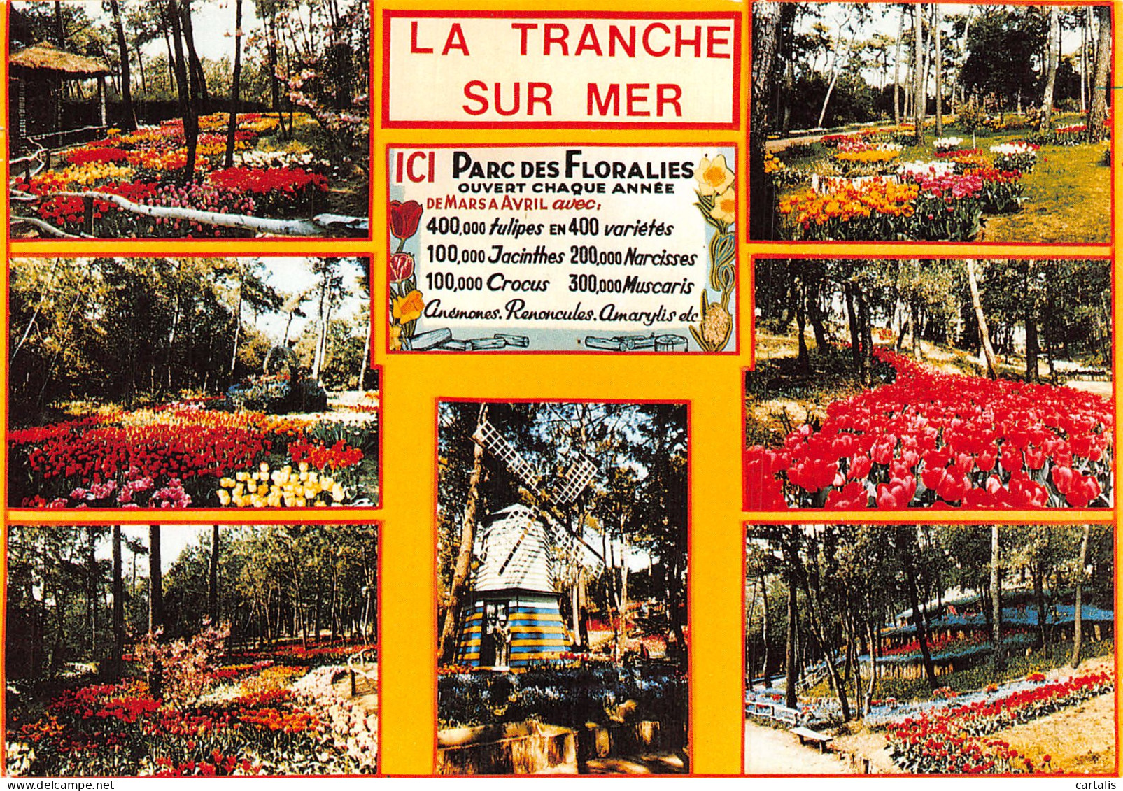 85-LA TRANCHE SUR MER-N° 4410-D/0163 - La Tranche Sur Mer