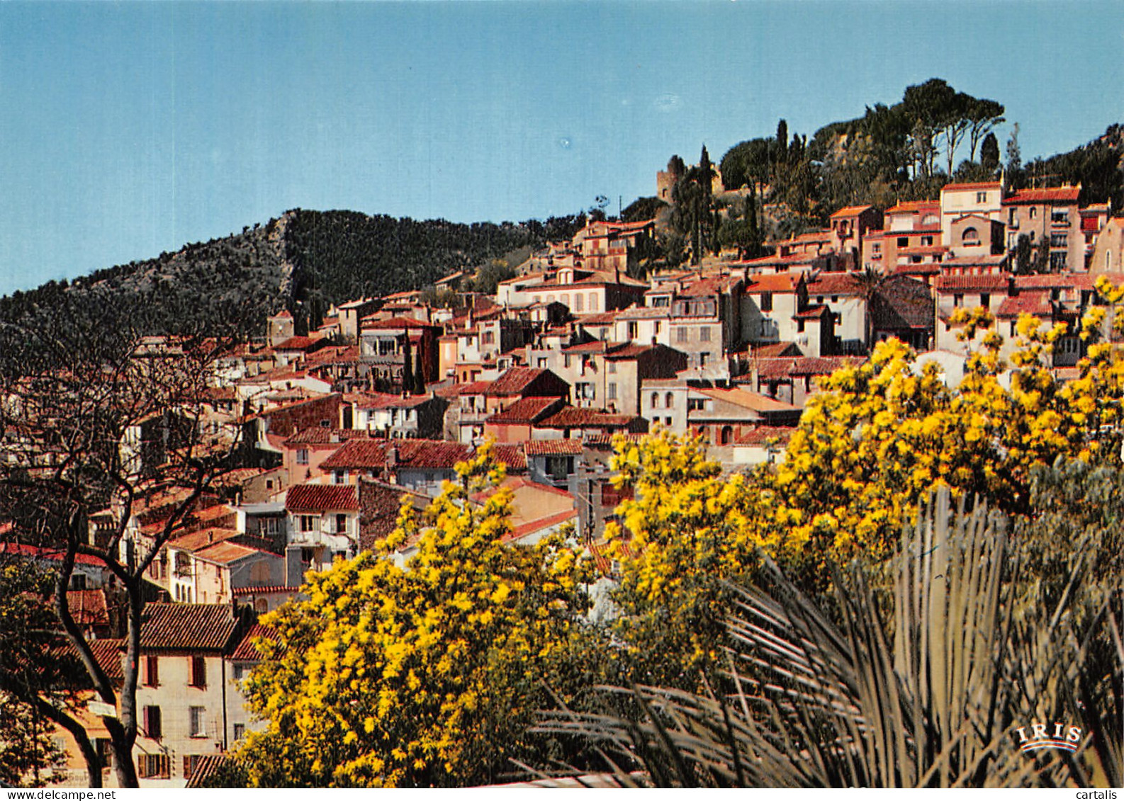 83-BORMES LES MIMOSAS-N° 4410-B/0161 - Bormes-les-Mimosas