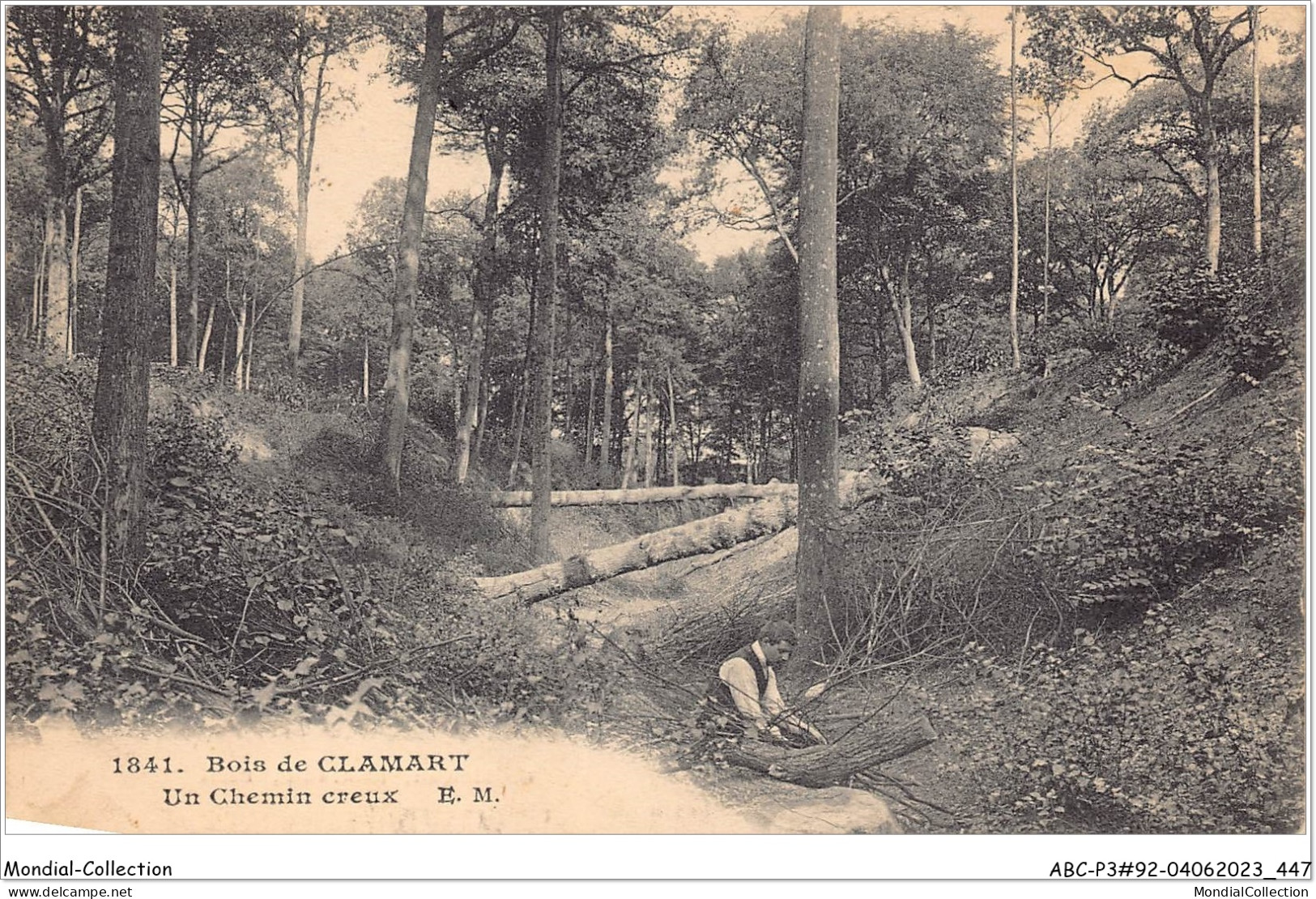 ABCP3-92-0200 - Bois De CLAMART - Un Chemin Creux - Clamart