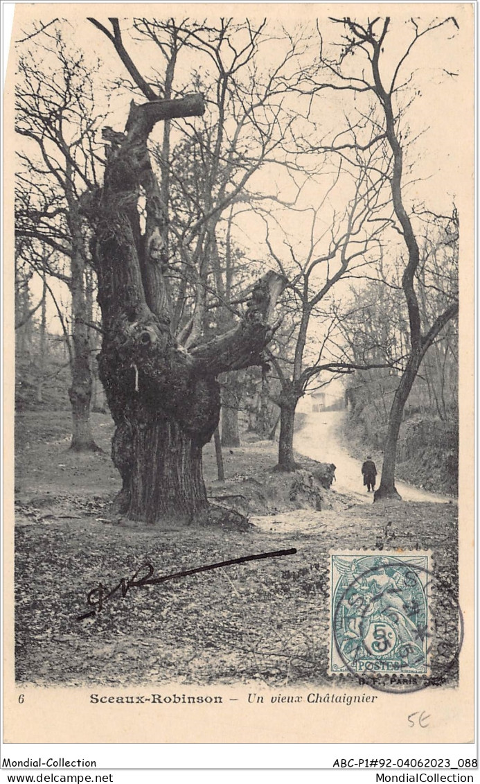 ABCP1-92-0045 - Sceaux-ROBINSON - Un Vieux Châtaignier - Sceaux