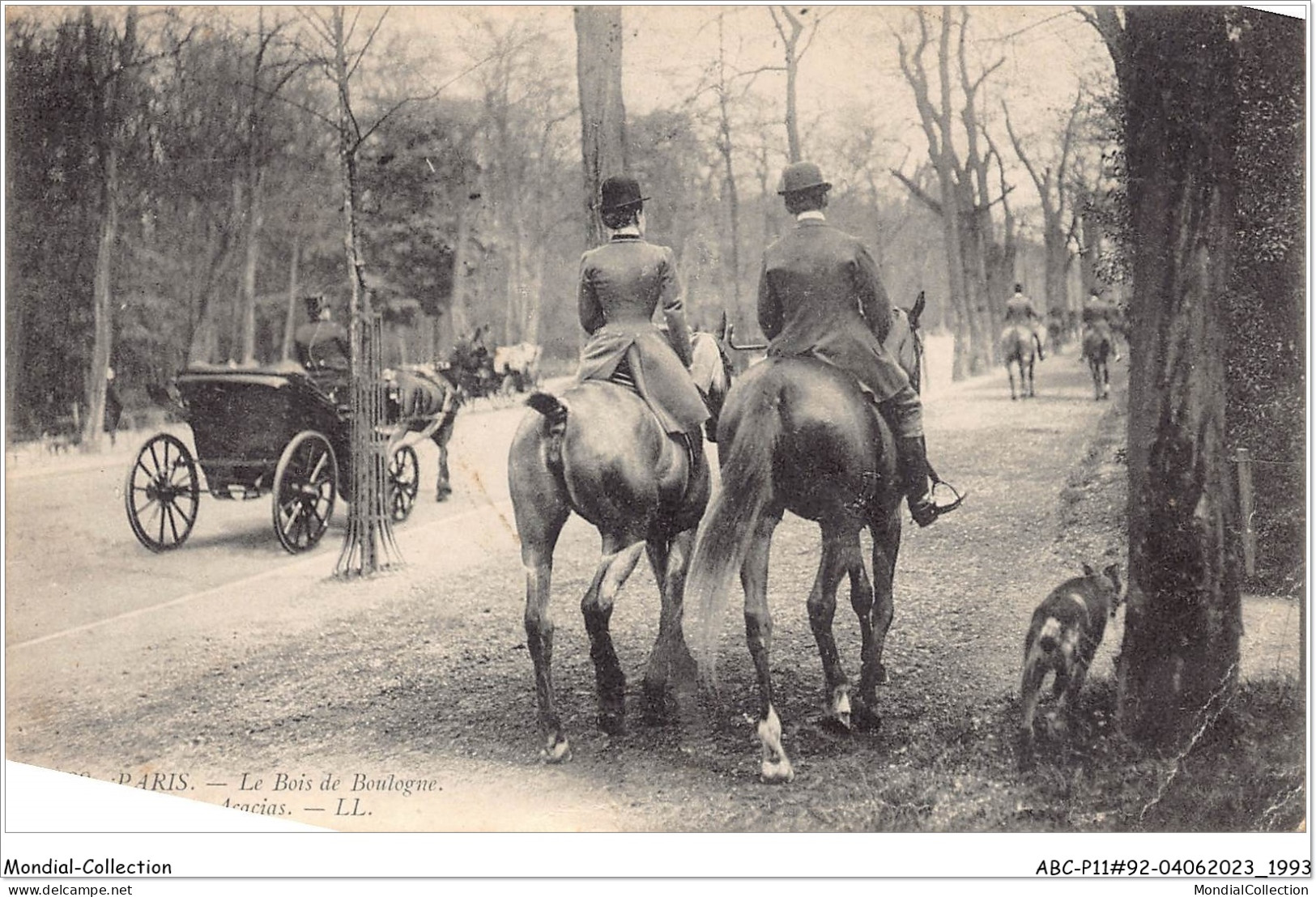 ABCP11-92-0973 - BOIS DE BOULOGNE- Aux Acacias - Boulogne Billancourt