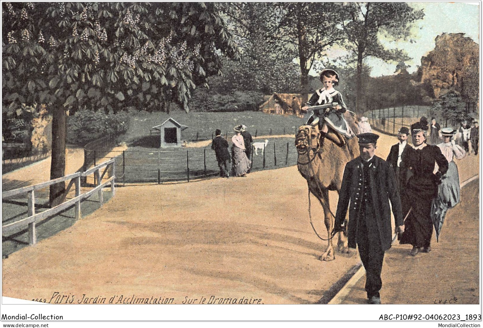 ABCP10-92-0923 - PARIS - Jardin D'Acclimentation Sur Le Dromadaire - Boulogne Billancourt