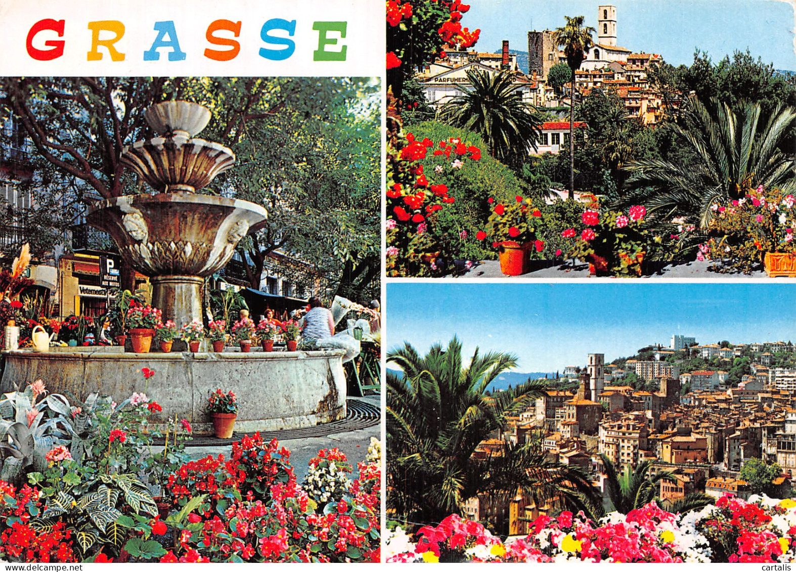 06-GRASSE-N° 4411-A/0129 - Grasse