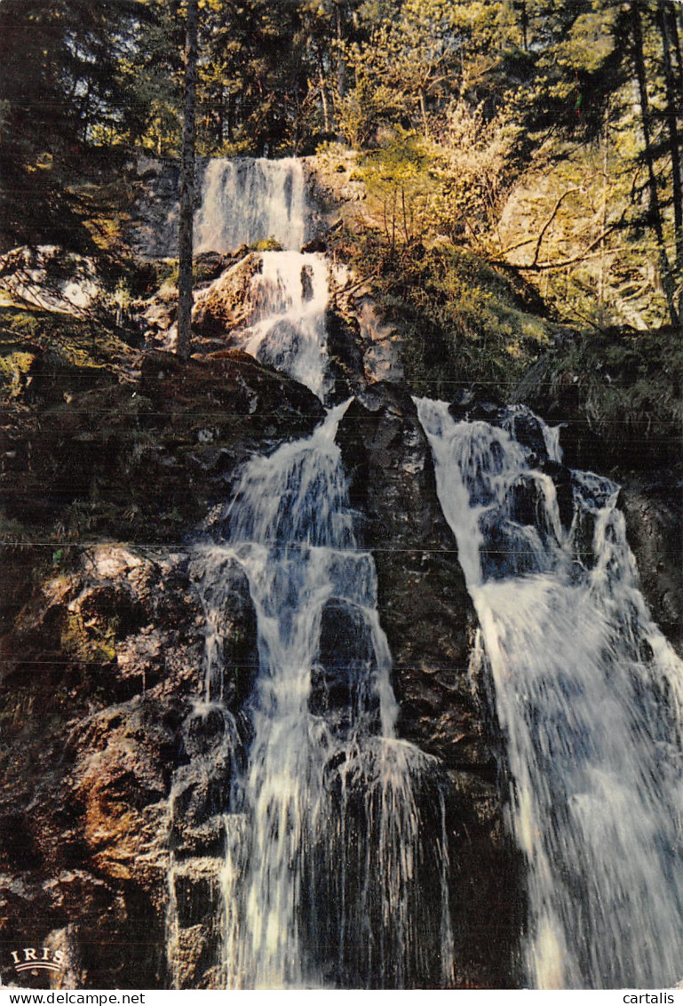 88-VOSGES CASCADE DU TENDON-N° 4411-A/0023 - Autres & Non Classés