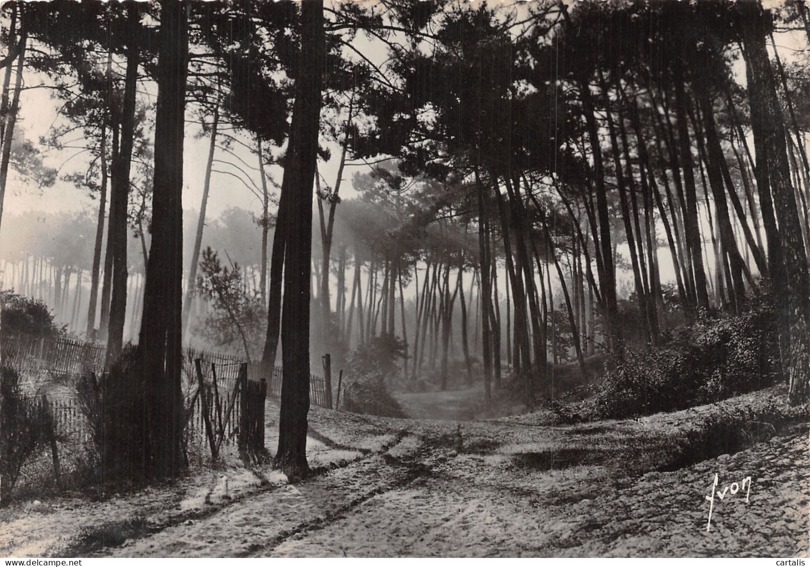 33-ARCACHON-N° 4411-D/0199 - Arcachon