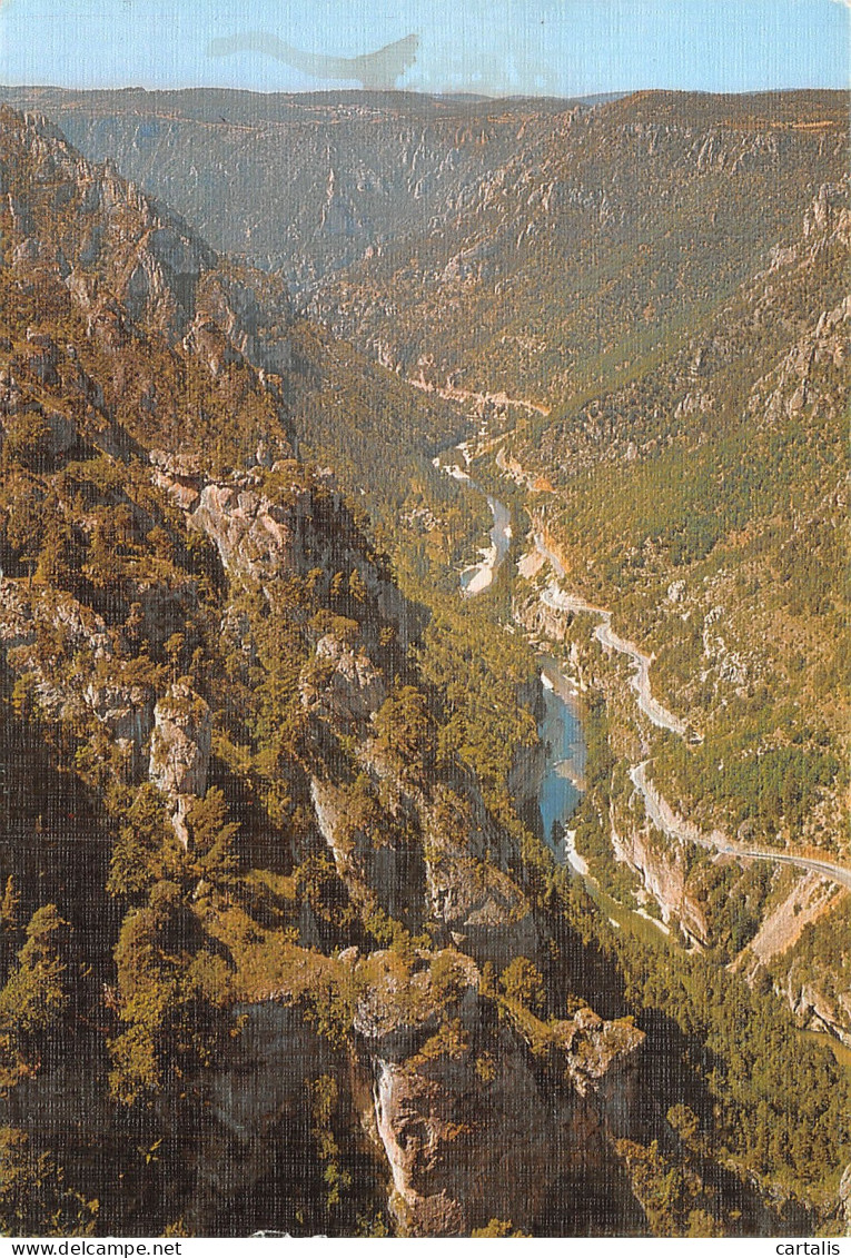 48-GORGES DU TARN-N° 4411-D/0195 - Gorges Du Tarn