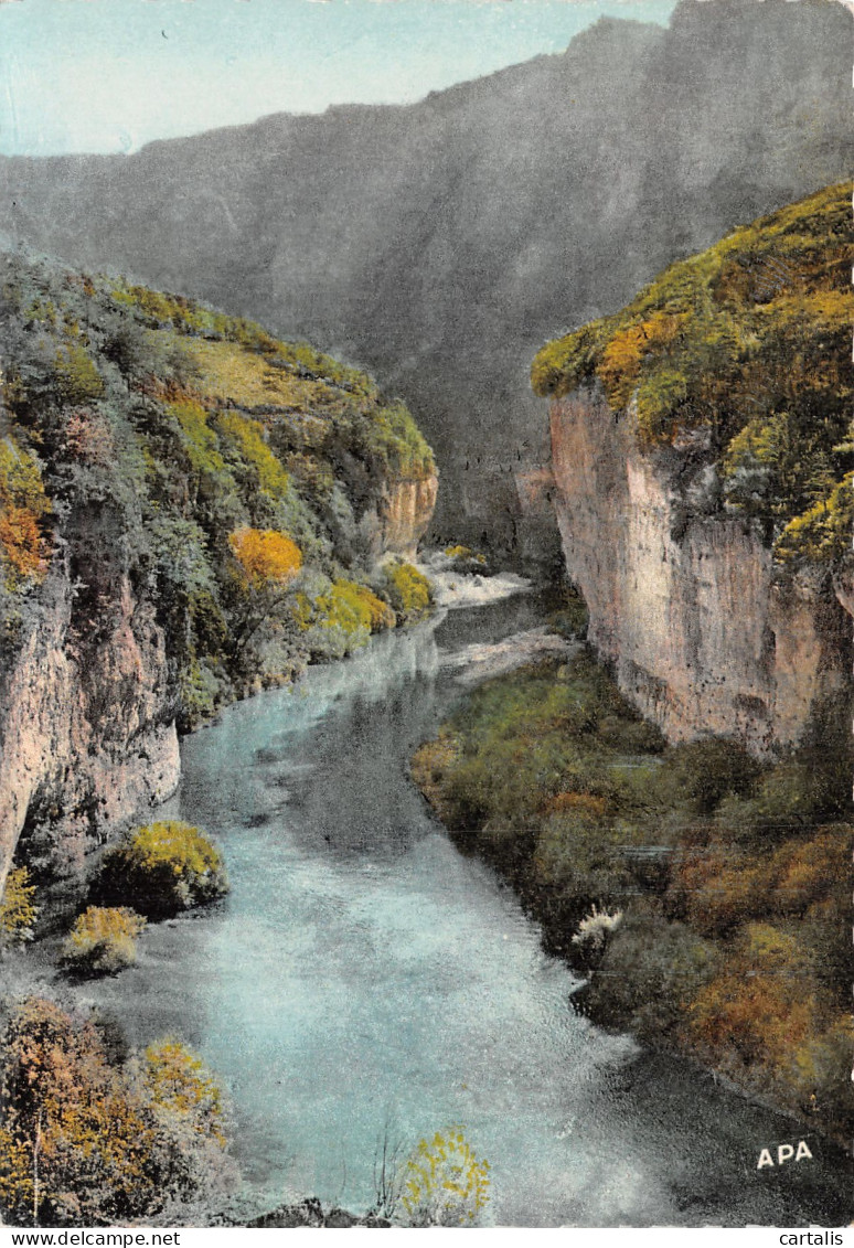 48-GORGES DU TARN-N° 4411-D/0069 - Gorges Du Tarn