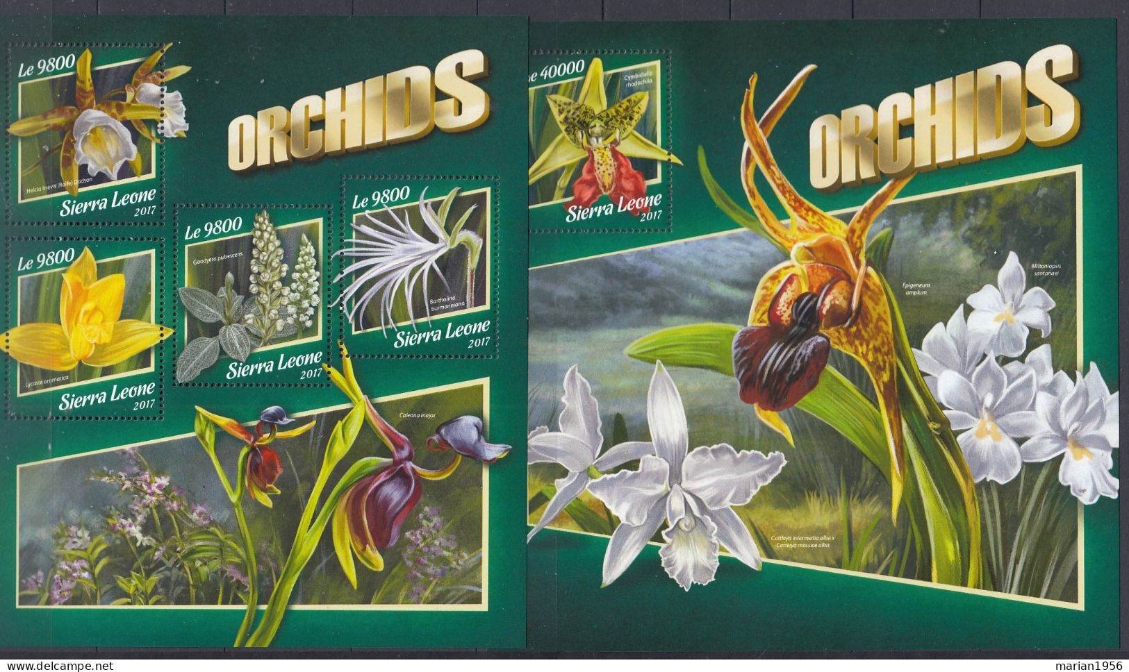 Sierra Leone 2017 - Fleurs - ORCHIDEES - BL + BF XL  - MNH - Yvert 39 Eur. - Orchids