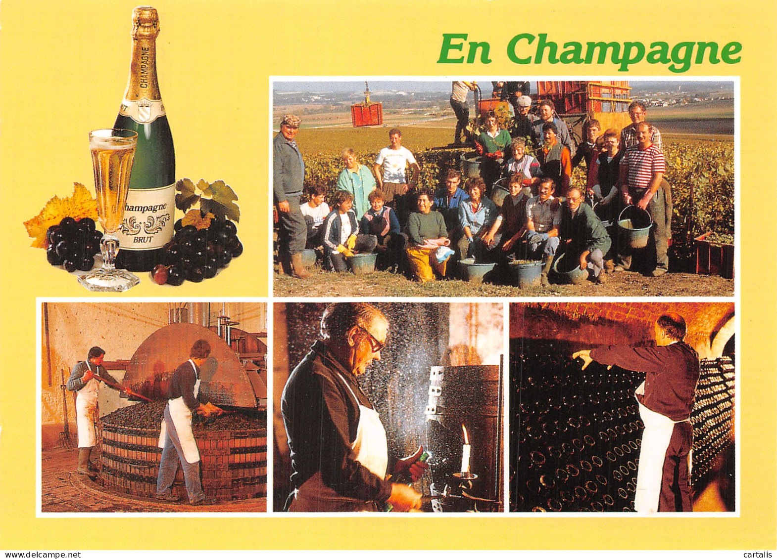 51-EN CHAMPAGNE-N° 4411-B/0269 - Altri & Non Classificati