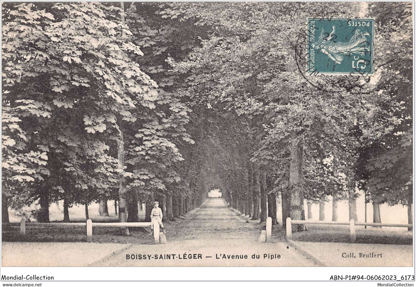 ABNP1-94-0015 - BOISSY-SAINT-LEGER - L'avenue Du Piple - Boissy Saint Leger
