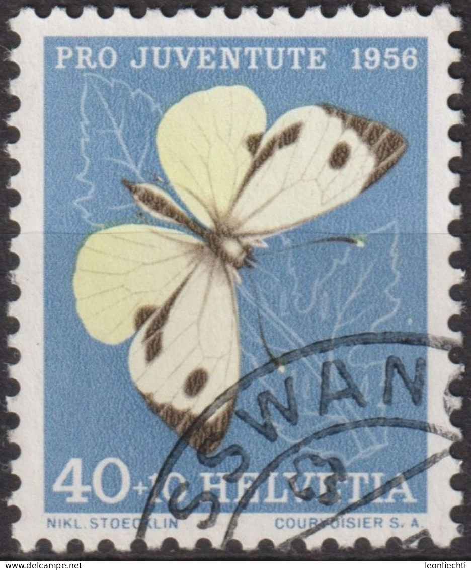 1956 Schweiz Pro Juventute ° Zum:CH J167,Yt:CH 585, Mi:CH 636, Kohlweissling, Schmetterling, Insekten - Gebraucht