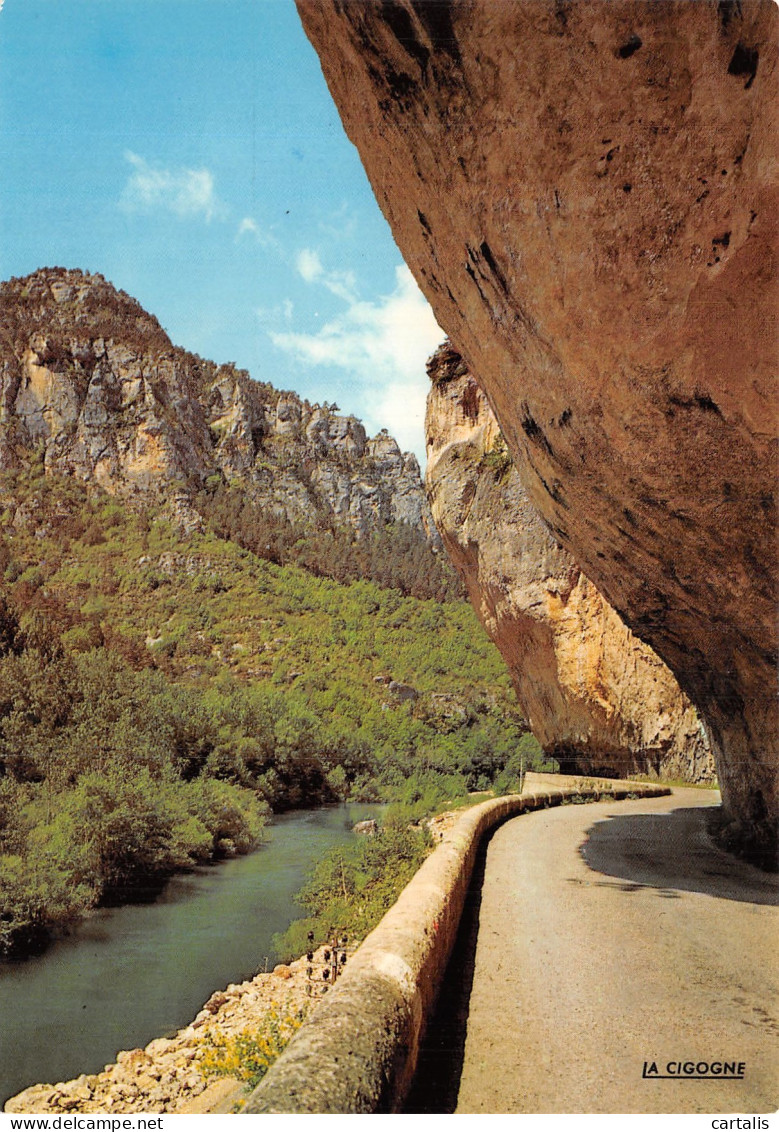 48-GORGES DU TARN-N° 4412-A/0309 - Gorges Du Tarn