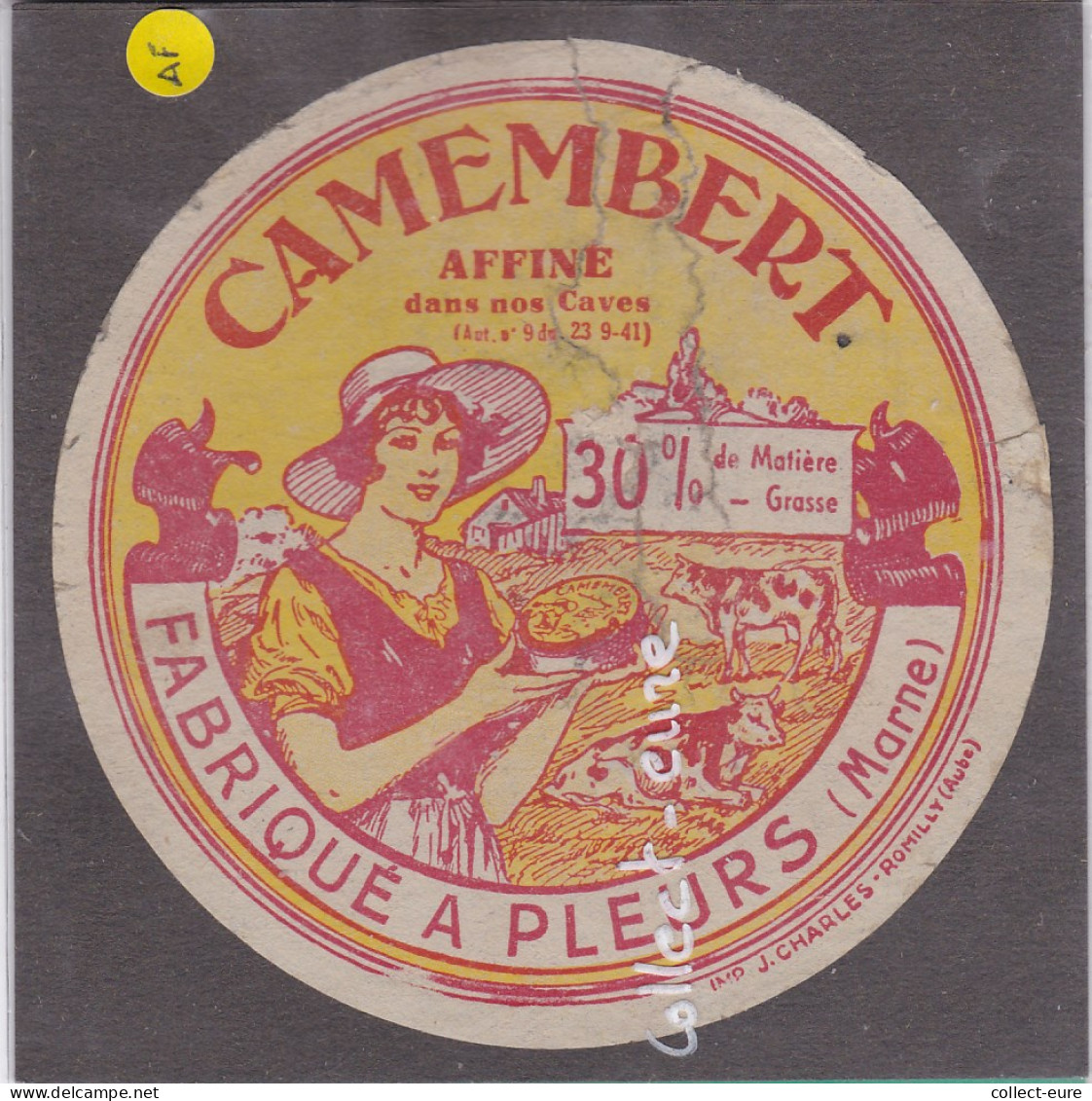 C1200  FROMAGE CAMEMBERT AFFINE  PLEURS  MARNE 30 % - Quesos