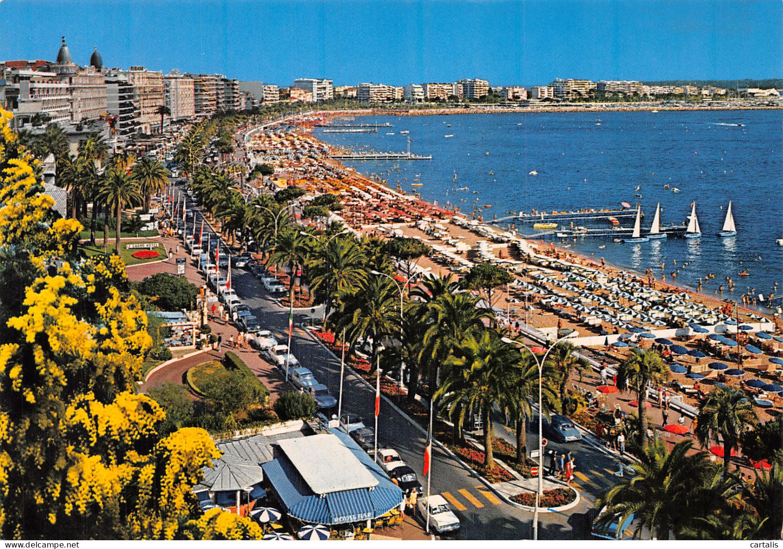 06-CANNES-N° 4411-D/0399 - Cannes