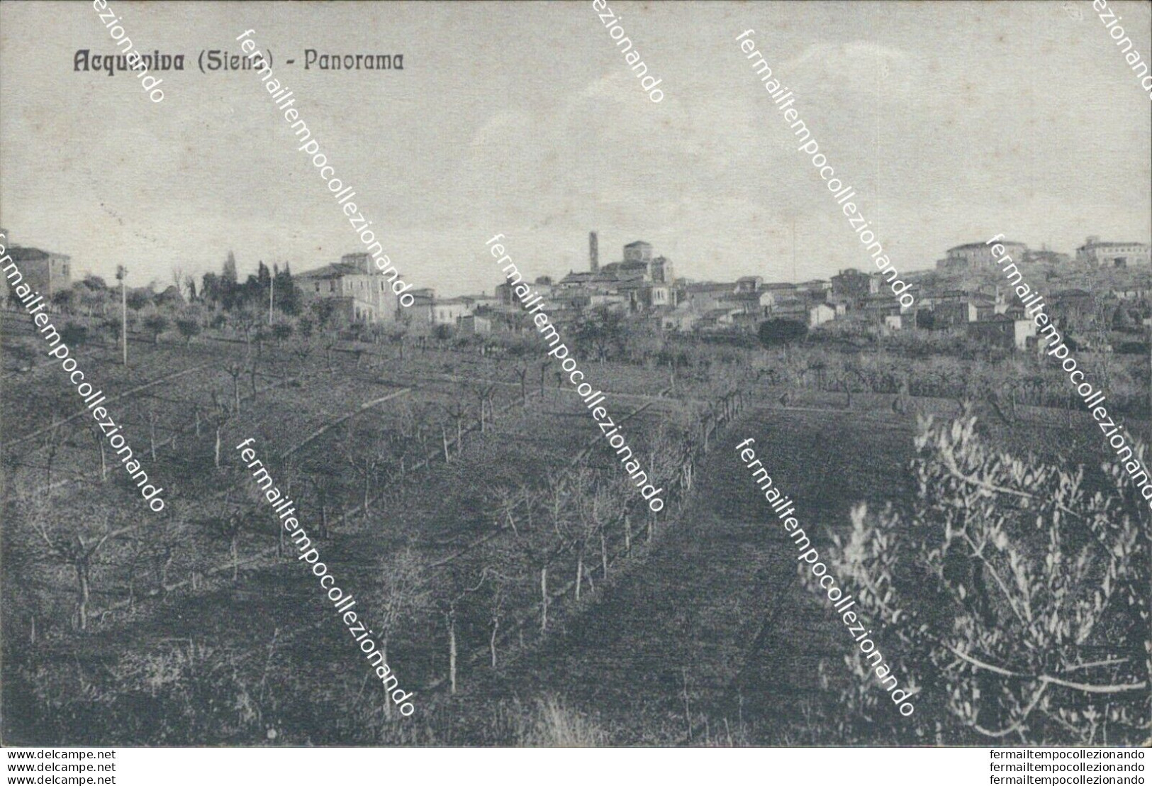 Bg375 Cartolina Acquaviva Panorama 1934 Provincia Di Siena - Siena