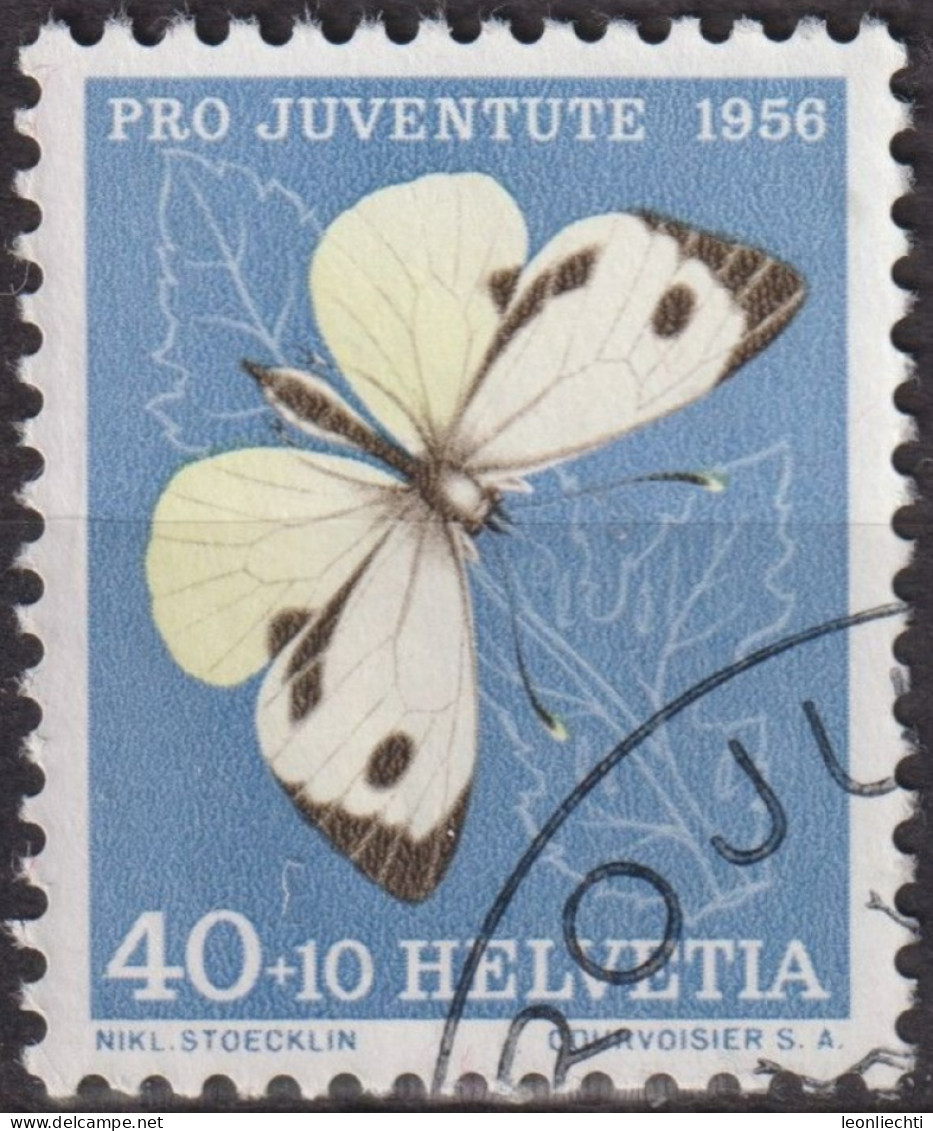 1956 Schweiz Pro Juventute ° Zum:CH J167,Yt:CH 585, Mi:CH 636, Kohlweissling, Schmetterling, Insekten - Gebruikt