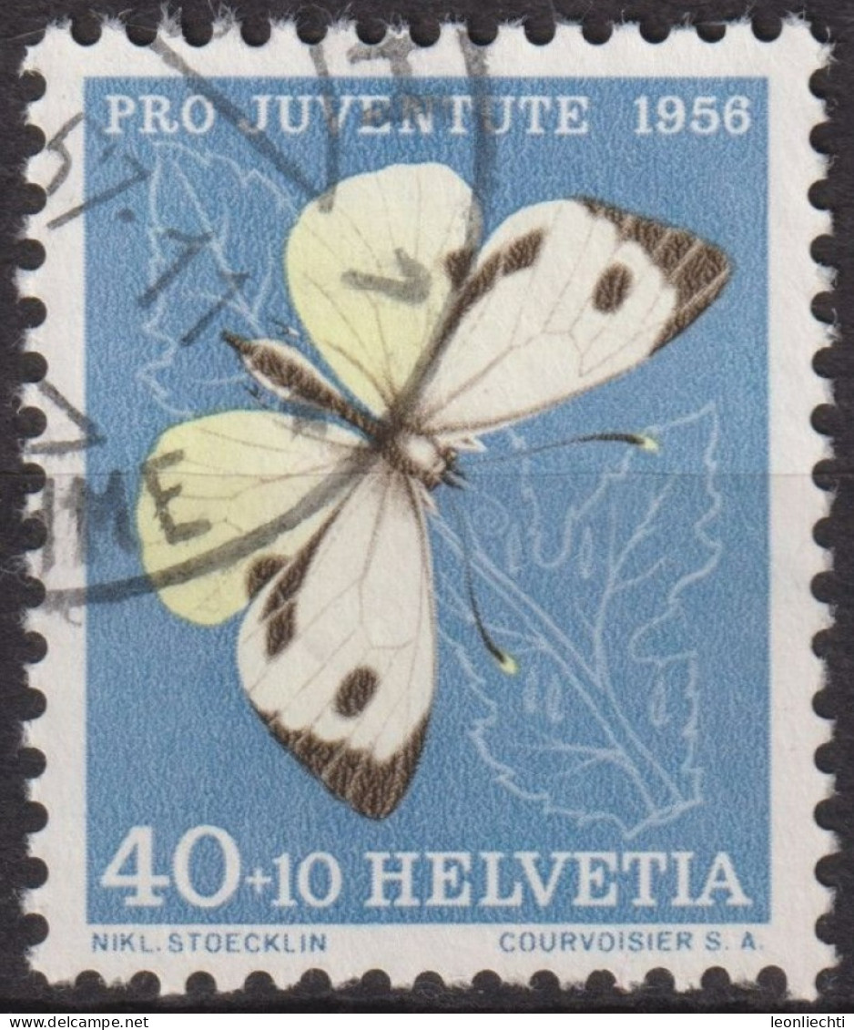 1956 Schweiz Pro Juventute ° Zum:CH J167,Yt:CH 585, Mi:CH 636, Kohlweissling, Schmetterling, Insekten - Usados